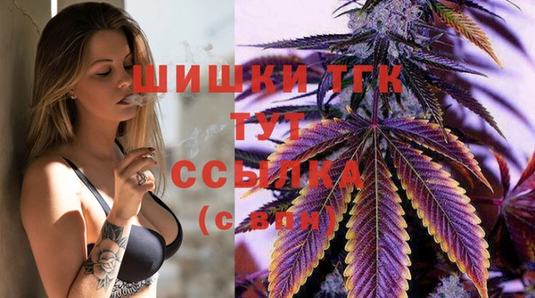 тгк Магадан