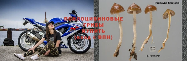 винт Магас