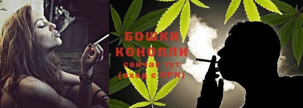 индика Лихославль